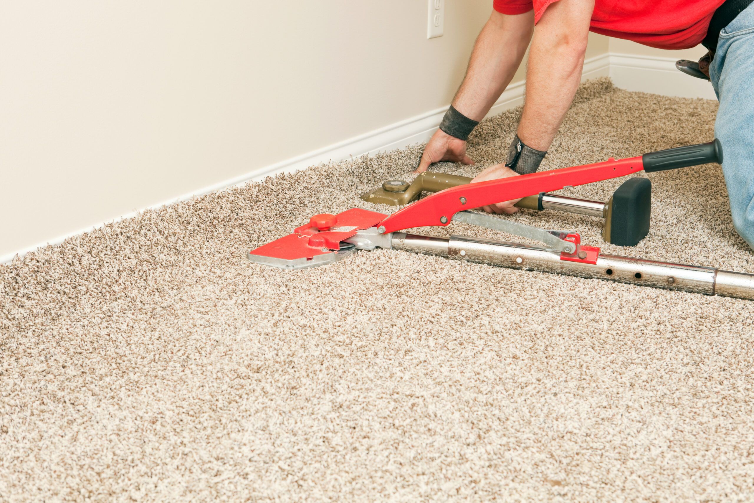 carpet stain removal service
