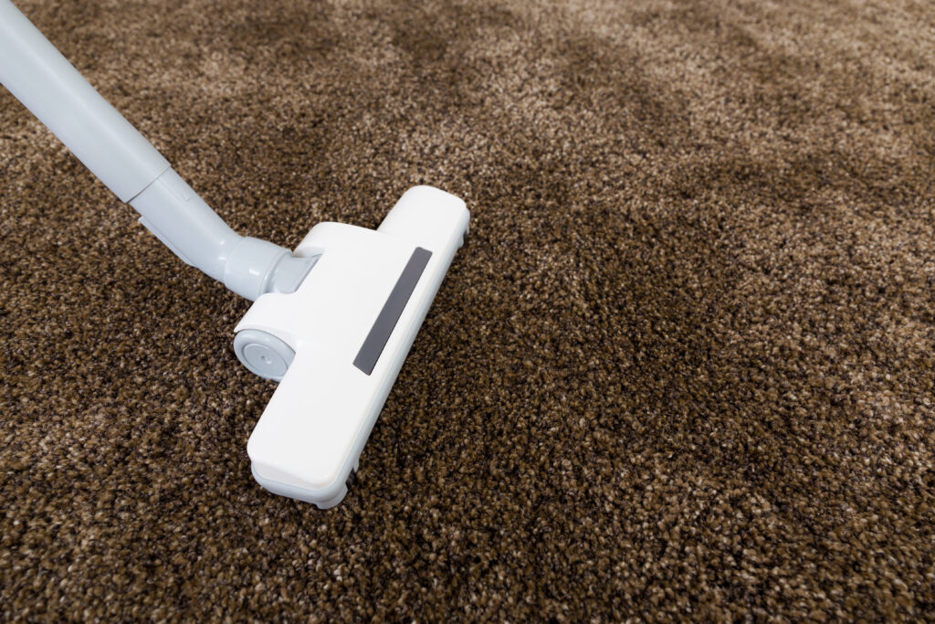 How Much Does Carpet Cleaning Cost in Carson City and Reno? (2026 Guide)