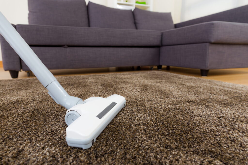 Professional Carpet Cleaning in Carson City, Reno, Gardnerville, Dayton & Incline Village, NV
